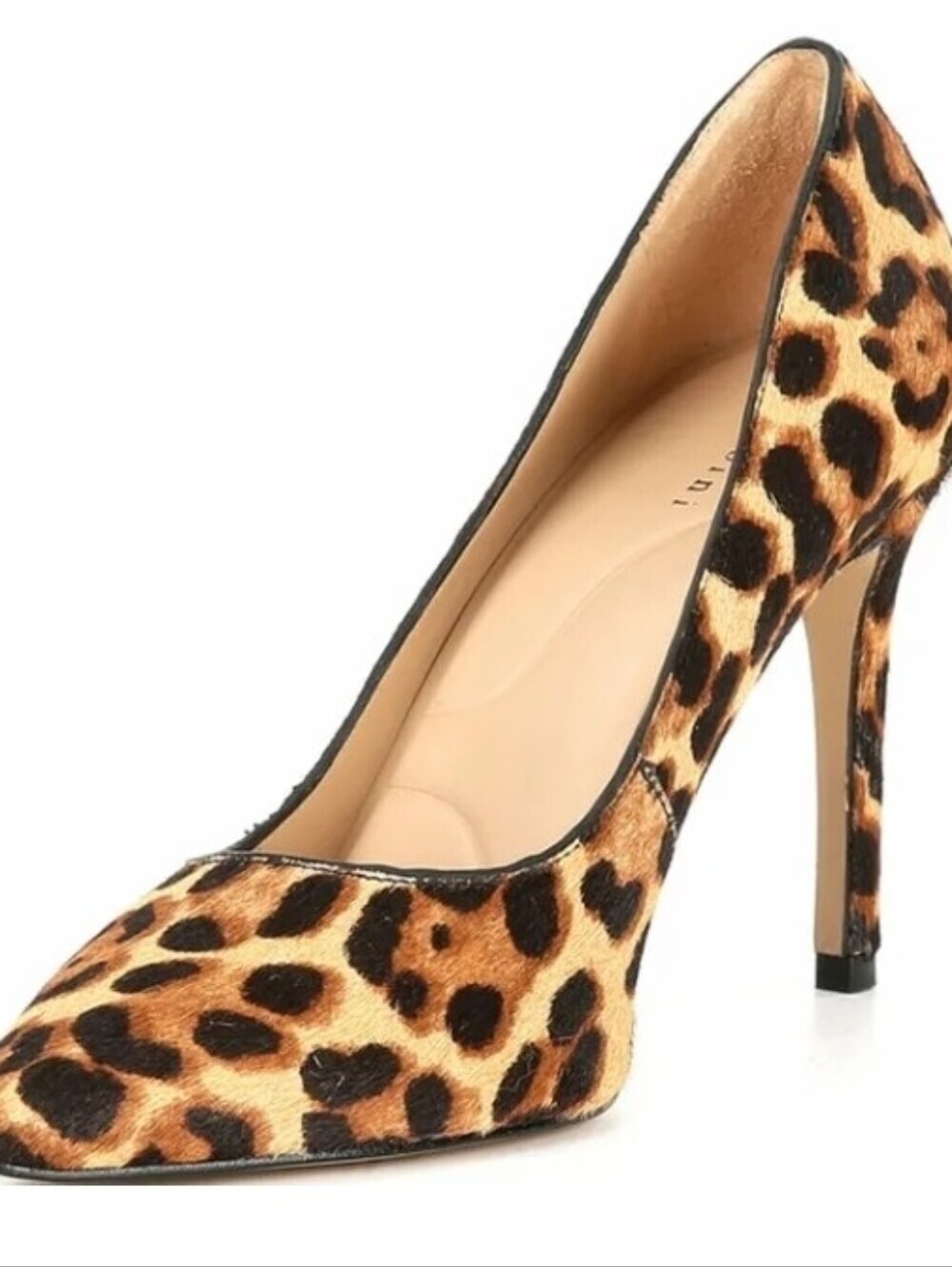 FLASH SALE- Gianni Bini Samprastwo Leopard Print Haircalf, Only Worn Once - Picture 6 of 6